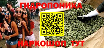 круглые Камень-на-Оби