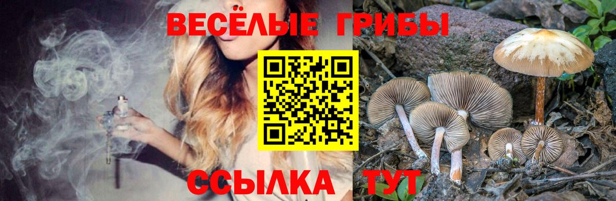 Псилоцибиновые грибы GOLDEN TEACHER  Галлюциногенные грибы Psilocybine cubensis  Альметьевск  Вход с VPN 