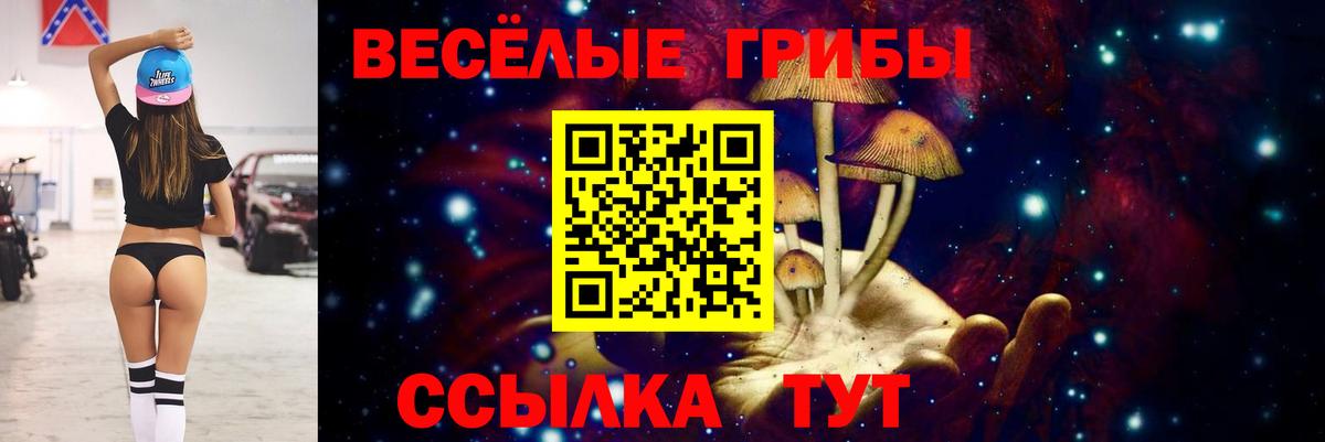 Галлюциногенные грибы Cubensis Альметьевск